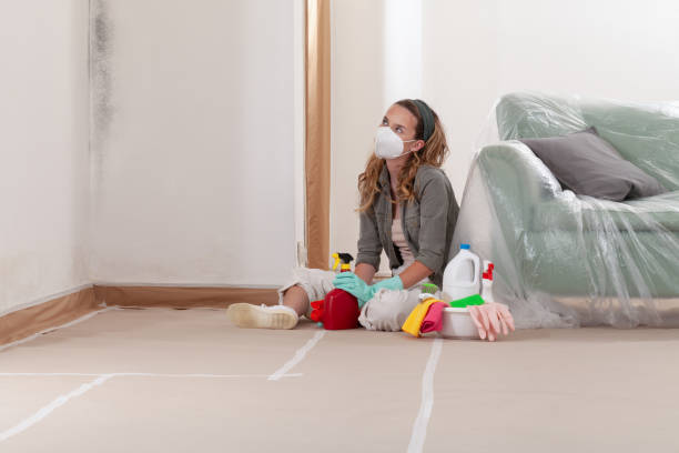 Reliable Mold Remediation contractor in Gillette, NJ by WQB Mold Removal